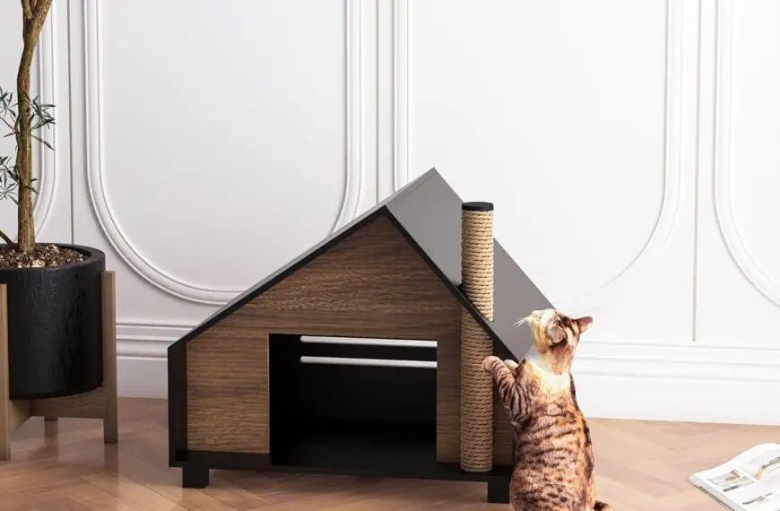 Now Get Your Dog or Cat a Mini Mid-Century Modern Design Home
